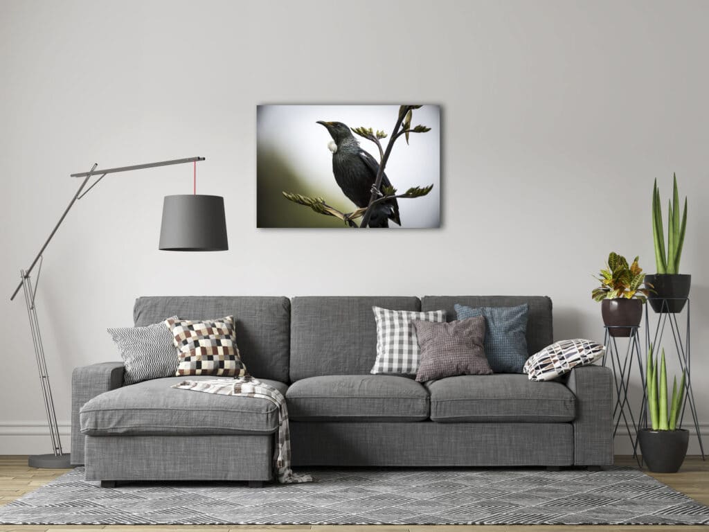 Tui Framed Canvas Art 24