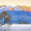 Alps overlooking wanaka tree Framed Canvas Art 60"x20" - Image 2