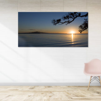 Rangitoto Island Framed Canvas Art 20"x40"