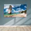 Coromandel Framed Canvas Art 38"x24"