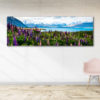 Flowering Lupins Framed Canvas Art 60"x20"