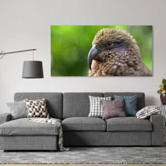 Kea Framed Canvas Art 20"x40"