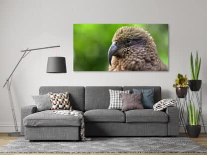 Kea Framed Canvas Art 20"x40"