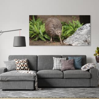 Kiwi Framed Canvas Art 20"x40"