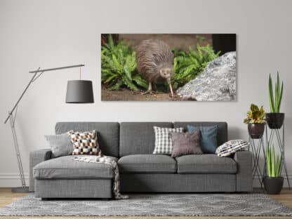 Kiwi Framed Canvas Art 20"x40"
