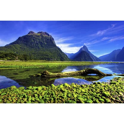 Mirror lake on the Milford Road Framed Canvas Art 16"x24"