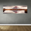 Mt Taranaki Framed Canvas Art 11"x28"