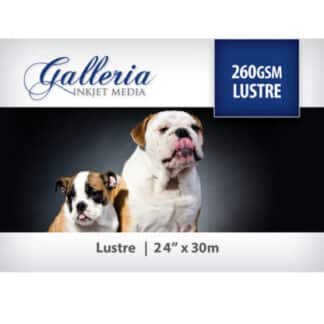 Galleria Lustre Paper 260gsm 24 inch roll