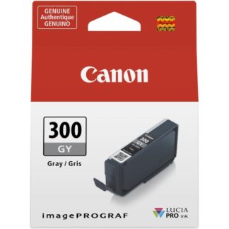 Canon Ink PFI300 Grey