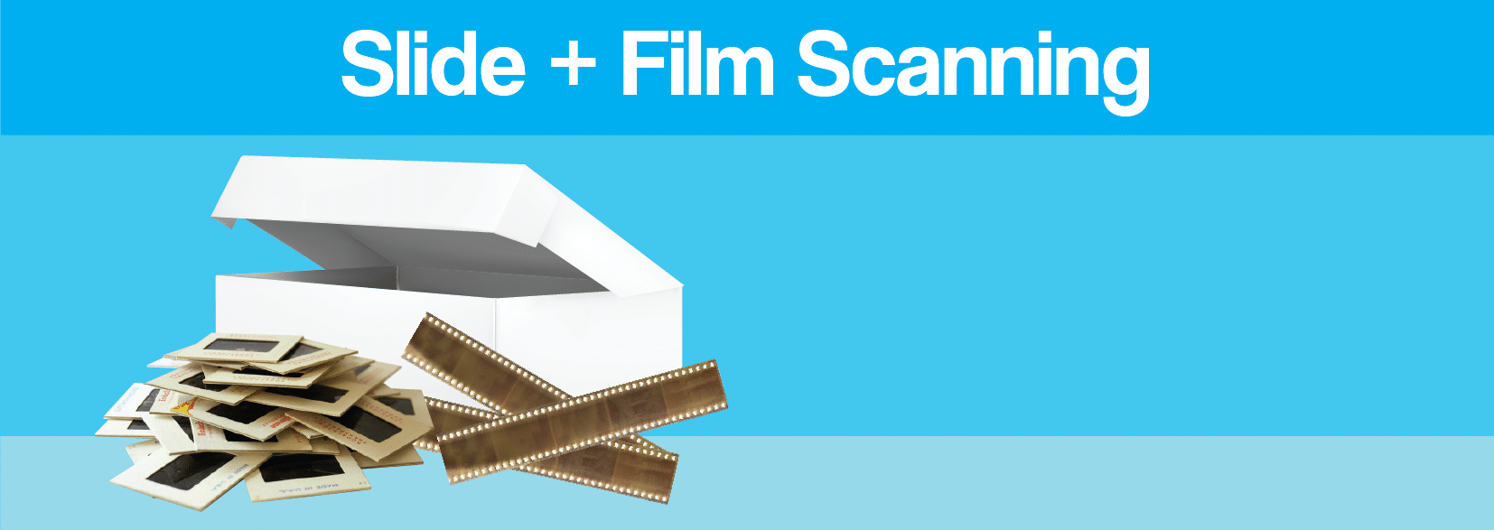 Scanning service-11