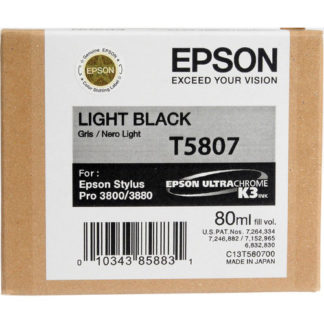 Epson Ink T5087 Light Black