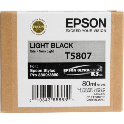 Epson Ink T5087 Light Black