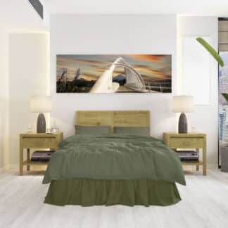 Te Rewa Rewa Bridge with Mt Taranaki Framed Canvas Art 60"x20"
