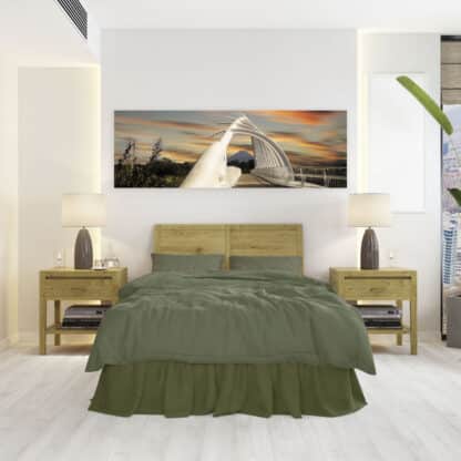 Te Rewa Rewa Bridge with Mt Taranaki Framed Canvas Art 60"x20"
