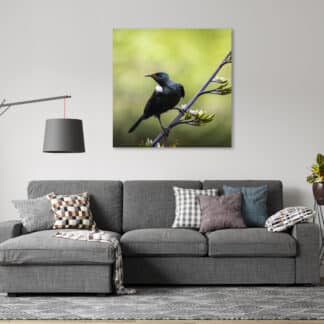 Tui Song Bird Framed Canvas Art 24"x24"