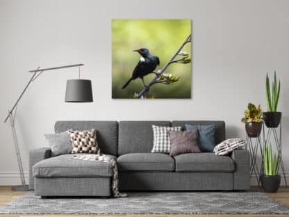 Tui Song Bird Framed Canvas Art 24"x24"