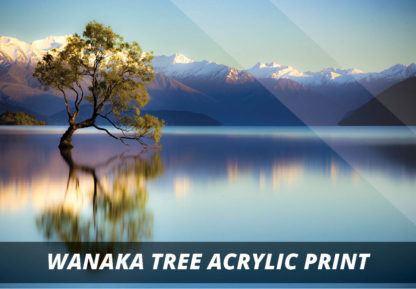 Wanaka Tree NZ Fine Art Acrylic Print A1