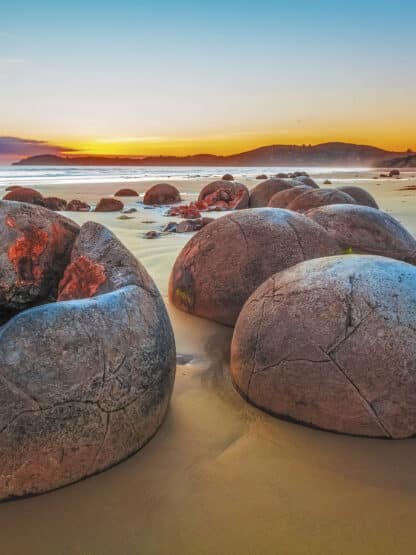 Moeraki Boulders at sunrise Framed Canvas Art 32"x24"