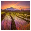 North Bengkulu Indonesia Framed Canvas Art 32"x32"