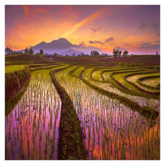 North Bengkulu Indonesia Framed Canvas Art 32"x32"