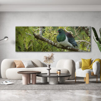 Wood Pigeon Framed Canvas Art 60"x20"