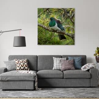 Wood Pigeon Framed Canvas Art 24"x24"
