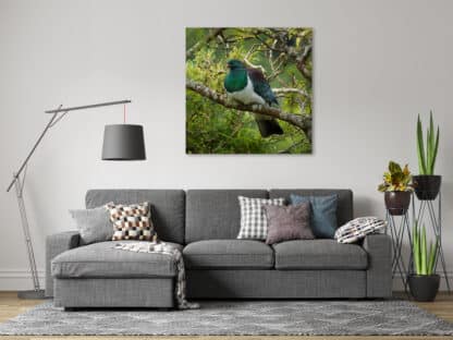 Wood Pigeon Framed Canvas Art 24"x24"